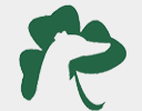 Greyhounds Of Shamrock